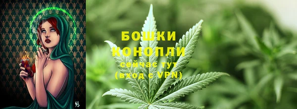PSILOCYBIN Белокуриха
