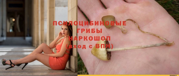 герыч Беломорск