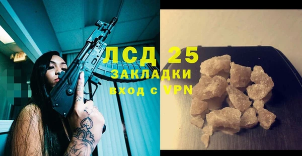 PSILOCYBIN Белокуриха